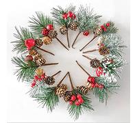 ZWMBYN DUDNJC 20pcs Artificial Red Berry Holly Stems Pine cones Branches, Christmas Pine Picks Fake Red Berry Wreath Picks Mini Flocked Holly Spray Stems for Christmas Tree Crafts Holiday Decor