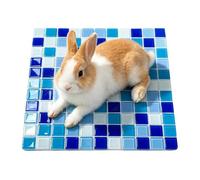 Zwpontia Cooling Pad for Pets Washable Waterproof Cool Pet Sleeping Bed