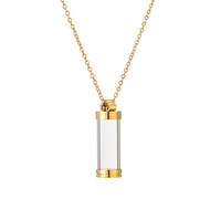 ZWTPGKRD Removable Urn Pendant Necklace For Memorial Ashes Keepsakes With Openable Design Memorial Jewelry Pet Dog Cats Loss Cremation Jewelry Ashes Keepsakes