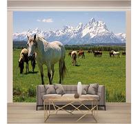 ZWYHYP Photo Wallpaper Living Room Horse 3D Photo Wallpaper Mural Non-Woven 3D Wallpaper Paste Living Room The Wall for Bedroom Mural Border 350cm×250cm