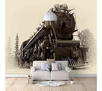 ZWYHYP Photo Wallpaper Living Room Train 3D Photo Wallpaper Mural Non-Woven 3D Wallpaper Paste Living Room The Wall for Bedroom Mural Border 350cm×250cm