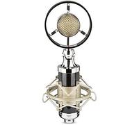 ZWYUAN Professional Condenser Recording Studio Microphone for Live Broadcast Suitable for Voice-Over Sound Studio Live Broadcast
