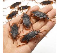 ZXCVWWE 10pcs Plastic Cockroaches Joke Decoration Props Rubber Halloween Gags Practical Toys D6l2 Jokes Toy Gadget