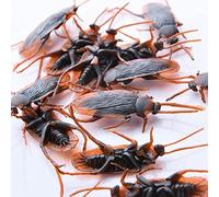 ZXCVWWE 10PCS Plastic Cockroaches Joke Decoration Props Rubber Toys Practical Jokes Halloween Toy Gadget Z0V9 Gags