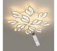 ZXDTVFGN 80W Modern LED Ceiling Light, Flower Shape Lighting Fixture Chandelier, 3000k-6500k Dimmable Lamp Φ94*H12cm Acrylic Light for Living Room Bedroom Dining Kitchen Hallway Made