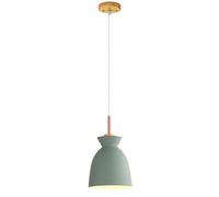ZXDTVFGN LED Modern Chandelier Lamp, Colored Single Head Small Hanging Light, Decorative Chandelier, Metal Lamp Shade, Restaurant Cafe Lighting Fixture, Ceiling Pendant Lamp,Modern Chan Pre