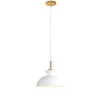 ZXDTVFGN LED Modern Chandelier Lamp, Colored Single Head Small Hanging Light, Decorative Chandelier, Metal Lamp Shade, Restaurant Cafe Lighting Fixture, Ceiling Pendant Lamp,Modern Chan Pre