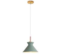 ZXDTVFGN LED Modern Chandelier Lamp, Colored Single Head Small Hanging Light, Decorative Chandelier, Metal Lamp Shade, Restaurant Cafe Lighting Fixture, Ceiling Pendant Lamp,Modern Chan Pre
