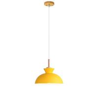 ZXDTVFGN LED Modern Chandelier Lamp, Colored Single Head Small Hanging Light, Decorative Chandelier, Metal Lamp Shade, Restaurant Cafe Lighting Fixture, Ceiling Pendant Lamp,Modern Chan Pre