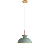 ZXDTVFGN LED Modern Chandelier Lamp, Colored Single Head Small Hanging Light, Decorative Chandelier, Metal Lamp Shade, Restaurant Cafe Lighting Fixture, Ceiling Pendant Lamp,Modern Chan Pre
