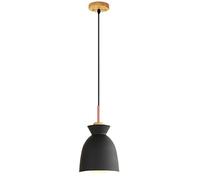 ZXDTVFGN LED Modern Chandelier Lamp, Colored Single Head Small Hanging Light, Decorative Chandelier, Metal Lamp Shade, Restaurant Cafe Lighting Fixture, Ceiling Pendant Lamp,Modern Chan Pre