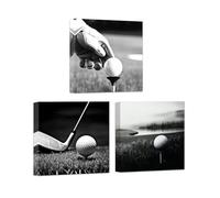 ZXHYWYM 3 Piece Sports Wall Art Black and White Golf Pictures Golf Course Canvas Prints for Teens Boys Room Gym Office Decor Frame (30x30cmx3)
