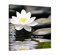 ZXHYWYM Bathroom Zen Water Wall Art White Lotus Flower Wall Decor Water Lily Picture Spa Canvas Photos Spiritual Yoga Office Decor Framed (A, (30.00 x 30.00 cms))