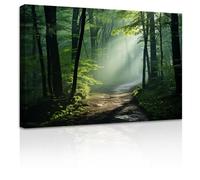 ZXHYWYM Green Forest Canvas Wall Art Sunshine Through Forest Road Picture Prints Morning Sunrise Paintings Nature Landscape Wall Decor Framed(4, (16.00" x 24.00"))