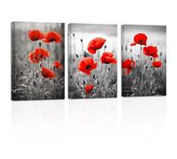 ZXHYWYM Red Poppies Canvas Wall Art 3 Piece Black White & Gray Poppy Flowers Picture Prints Elegant Rustic Artwork Bathroom Home Decor(1, (11.00" x 14.00" x 3PCS))