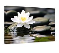 ZXHYWYM Zen Canvas Wall Art Stone Lotus Flower Picture Prints Water Lily Nature Spa Painting Bathroom Artwork for Meditation Spiritual Room Decor(Picture-2, (16.00" x 24.00"))