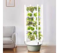 ZXINXIN Hydroponics Growing System,Hydroponic Growing Kits & Systems,Hydroponics Tower with LED Grow Light,with Hydrating Pump, Adapter, Net Pots,for Herbs, Fruits and Vegetables 7Layer