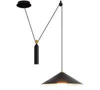 ZXKYZR8 Rise Fall Pulley Pendant Lighting - Three-color Dimming Wall Control Light LED Ceiling Mount Fixture, Height Adjustment Fixture Gravity Chandelier Lamp For Bedside Living Room Study