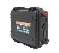 ZXLLAFT 12V 60Ah 80Ah 100Ah Lithium-ion Battery Pack with Charger Suitable for Marine Propulsion Inverter Emergency Start Outdoor Power Supply Etc,12V60Ah