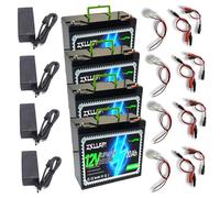 ZXLLAFT Deep Cycle LiFePO4 Battery 12V Lithium Battery 20Ah Rechargeable Batteries Integrated BMS Protection Board for Solar, Fish Finder, Emergency Light, Backup Power,12V20Ah 4Pack
