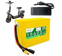 ZXLLAFT Electric Scooter Battery 22.2V Lithium Battery Replacement Batteries 6S Rechargeable Batteries for Solar, RV, Backup Power with Charger and BMS Protection Board,22.2V15.6Ah