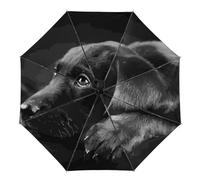 Zxlophysis Umbrella, Black Labrador Puppy Art Auto 3 Fold Umbrella, Printed Inside, Black Outside