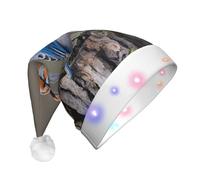 ZXMDZTSS Four Birds -Print Adult Plush Light-Up Christmas Hat Led Flashing Santa Headwear Pom-Pom For Xmas Parties Events.