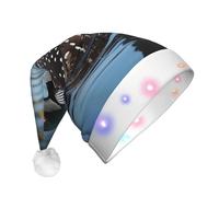 ZXMDZTSS Loon Birds -Print Adult Plush Light-Up Christmas Hat Led Flashing Santa Headwear Pom-Pom For Xmas Parties Events.