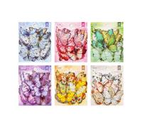 ZXMNBH 40 Pcs/Pack Dream 0f Butterflies and Flowers PET Stickers for Scrapbooking Kit Waterproof Clear Sticker Junk Journaling Supplies Journals Diary Planner Collage Laptop Paper Crafts