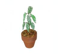 Zxpjkyu 1 Piece Miniature Decorative Container Plant with Polka Dot Leaves and Clay Pot for Dollhouse Room Decor Suitable for Tabletop Styling and Terrarium, Green