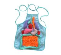 Zxpjkyu Apron with Human Organs, Apron with Human Body, Model of Internal Organs, Educational Toy, Detachable Toy, Suitable for Teaching, blue