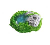Zxpjkyu Miniature Landscape Display Set with Synthetic Resin Grass Rocks and Mushrooms for Desktop Decoration Office Home Decor, Stone Pool