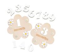 Zxpjkyu Monthly Milestone Card Wooden Circles Discs Double-Sided Marker Portable Interchangeable Keepsake Suitable for Newborn Photography C, White