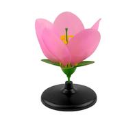 Zxpjkyu Peach Blossom Model: Educational Toy for The Classroom - Research And