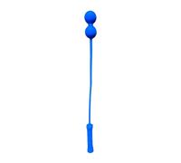 Zxpjkyu Tennis Player Training Tool, Portable Equipment to Improve Skills, 2 Balls