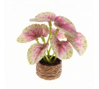 Zxpjkyu Tiny Artificial Potted Plant With Layered Broad Leaves In Small Woven Cylinder Pot Fake Foliage Piece For Dollhouse Display Fairy Garden Diorama Decor Tabletop Setup, Rose Red