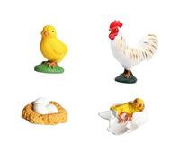 Zxpjkyu Together on The Chicken Growth Cycle, Educational Materials for The Classroom, Growth Stage