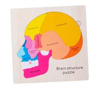 Zxpjkyu Wooden Human Brain Puzzle Toy Educational Game Activity Hand Eye Coordination Wooden Model Suitable for Early Childhood Education Gi