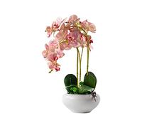ZXQUEGF Artifical Tree Chinese Phalaenopsis Artificial Flower Fake Flower Ornament Living Room Coffee Table Hotel Table Potted Plant Decoration Artificial Tree Indoor