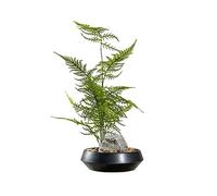 ZXQUEGF Artifical Tree Chinese-style Simulation Flower Art Green Plant Bonsai Decoration Living Room Sales Office Porch Cabinet Green Plant Potted Decoration Artificial Tree Indoor