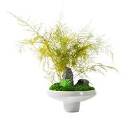 ZXQUEGF Artifical Tree Chinese Zen Moss Flower Art Green Plant Small Bonsai Indoor Living Room Tea Room Study Office Decoration Artificial Tree Indoor