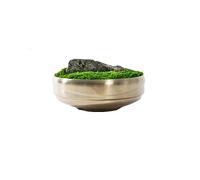 ZXQUEGF Artifical Tree Chinese Zen Moss Simulation Moss Green Plant Bonsai Coffee Table Negotiation Table Tea Room Sales Office Decoration Decoration Artificial Tree Indoor(A)