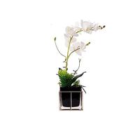 ZXQUEGF Artifical Tree Light Luxury Simulation Phalaenopsis Flower Bonsai Decoration Plant Fake Flower Chinese Floral Decoration Artificial Tree Indoor(B)