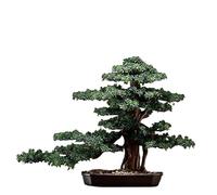 ZXQUEGF Artifical Tree Simulated Welcoming Pine Chinese Style Ornaments Bonsai Living Room Fake Tree Indoor Green Plant Decoration Entrance Table Landscaping Artificial Tree Indoor(A)