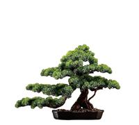 ZXQUEGF Artifical Tree Simulated Welcoming Pine Chinese Style Ornaments Bonsai Living Room Fake Tree Indoor Green Plant Decoration Entrance Table Landscaping Artificial Tree Indoor(A)