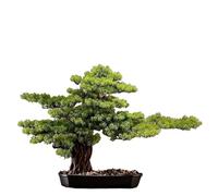 ZXQUEGF Artifical Tree Simulated Welcoming Pine Chinese Style Ornaments Bonsai Living Room Fake Tree Indoor Green Plant Decoration Entrance Table Landscaping Artificial Tree Indoor(A)