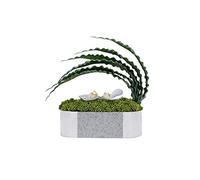 ZXQUEGF Artifical Tree Simulation Bonsai Creative Simulation Butterfly Orchid Flower Art Green Plant Porch Coffee Table Decoration Artificial Tree Indoor(S-20 * 8 * 24cm)