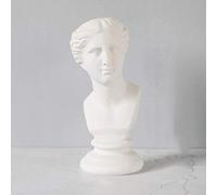 ZXQUEGF Greek Roman Style Statue Head Planter,Classic Indoor Outdoor Planter Statue Urn for Plants Resin Flower Pot Art Ornaments-e 12x28cm(5x11inch)