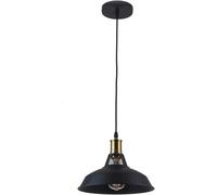 ZXQUEGF V-intage Industrial Pendant Lights Black Rust Pendant Lamps Old Ceiling Lighting Lamp Antique E27 Hanging Lights,wall lamp