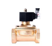 ZXTIIEUF 2" Normally Closed Brass Solenoid Valve 2T Series Liquefied Petroleum Gas Natural Gas DN50 Switch Water Valves 220V 24V 12V(BSP-110VAC)
